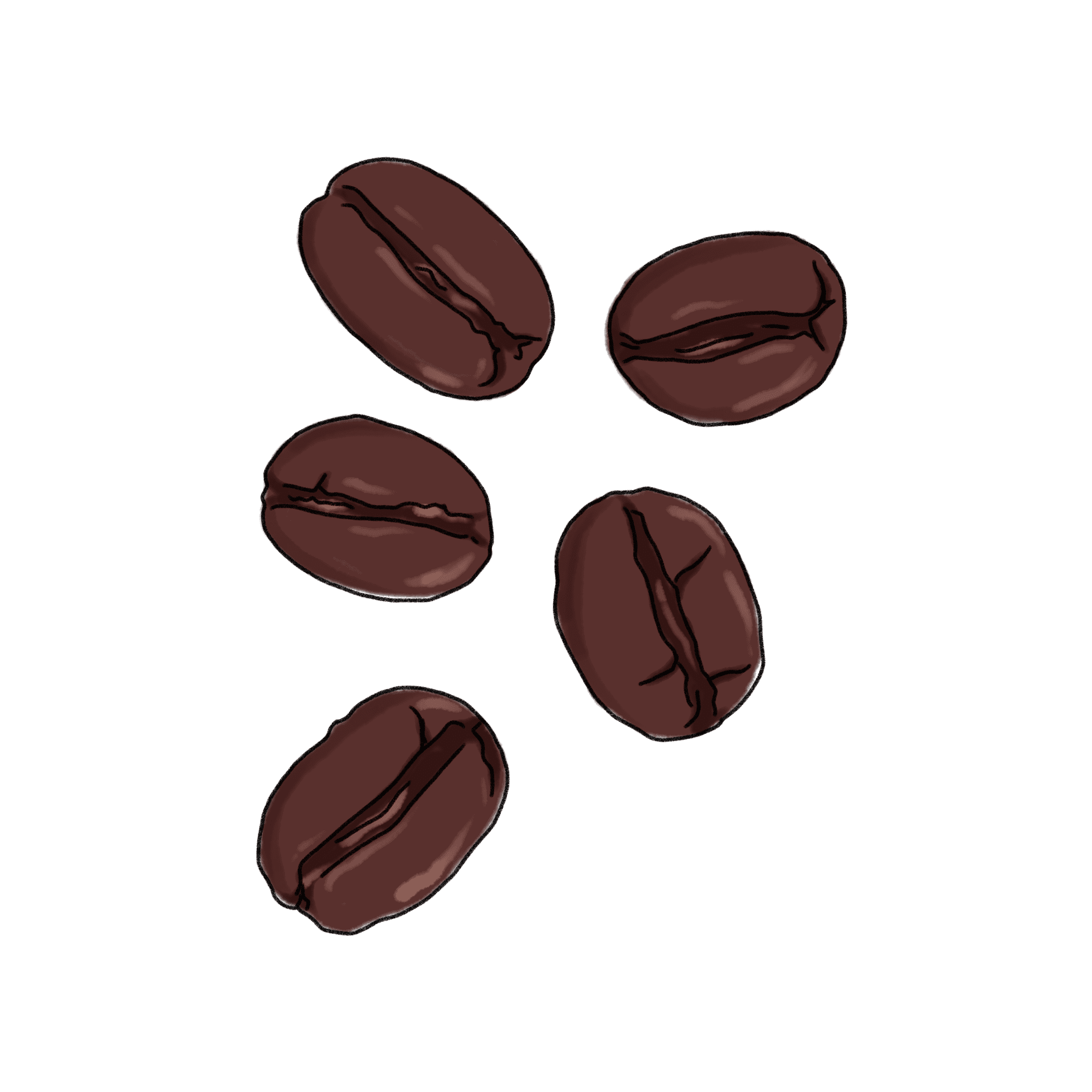 2,600点を超える水彩のコーヒー豆のイラスト素材、ロイヤリティフリーのベクター素材グラフィックスとクリップアート - iStock