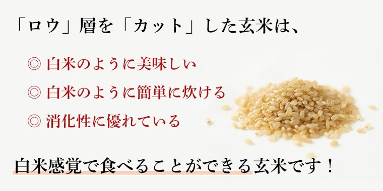 金芽ロウカット玄米 玄米商品カテゴリー・５年連続売上No.１！“すべての米商品”の中でも「第5位」に！豪華賞品が当たる「おコメでカラダをChange！キャンペーン」もスタート！東洋ライス株式会社のプレスリリース