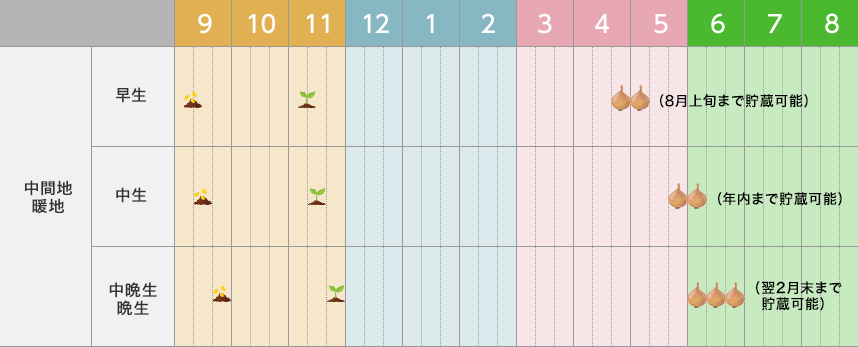 紫玉ねぎ収穫 2021.5.15- 身近な自然もいいね