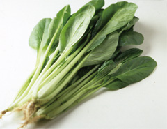 小松菜の旬はいつ？選び方や栄養、貸別荘で使えるレシピまで紹介 - TRIPTO トリプト