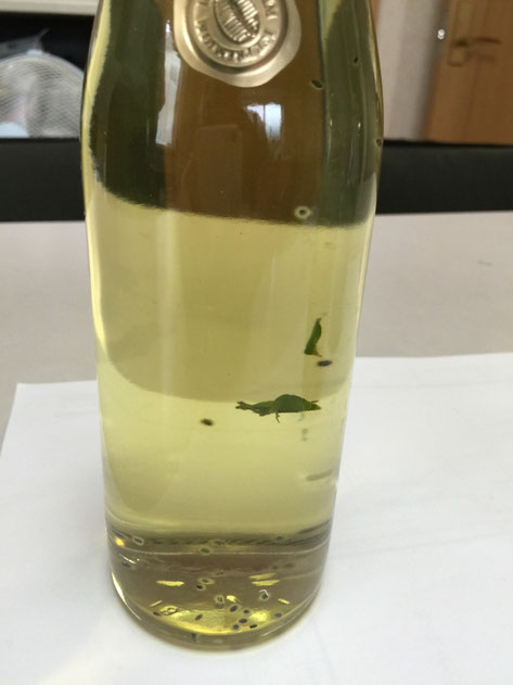 いさお@趣味垢 on X: 