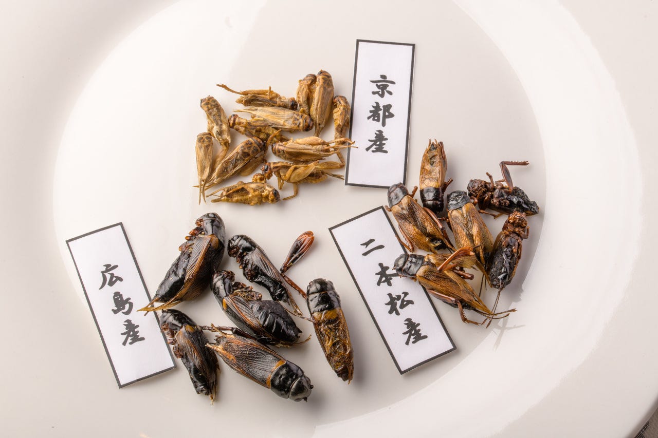 世界で注目を集める「昆虫食」は、日本の食シーンに革新をもたらすかフーズチャネル