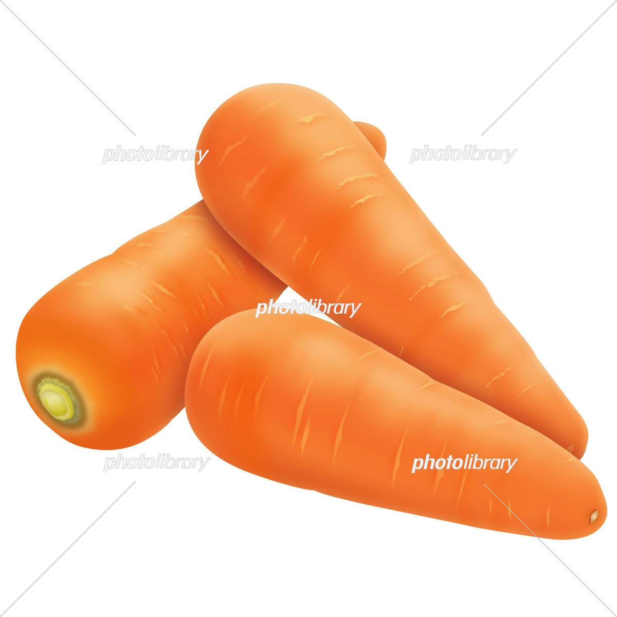 ニンジンのフリー写真＆イラスト画像素材イラストフォト