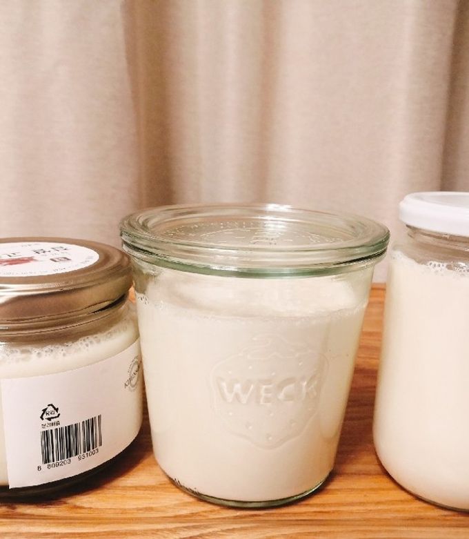 カスピ海ヨーグルトの作り方・増やし方講座フジッコ公式通販 フジッコ ウェルネス倶楽部