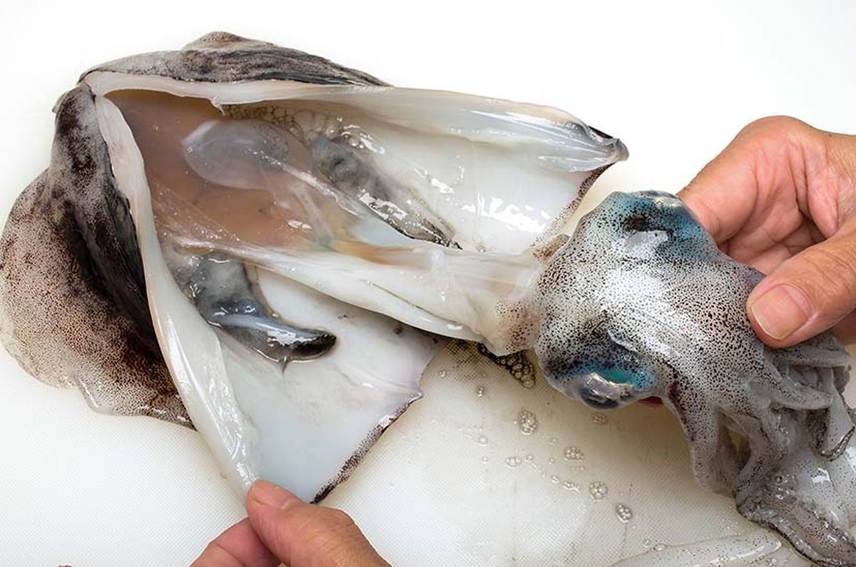 料理の基本！ アオリイカのさばき方