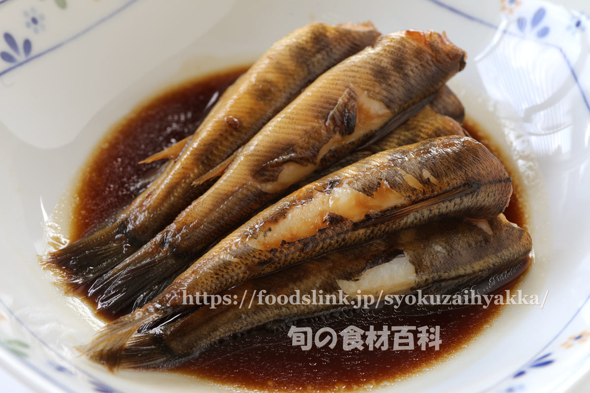 メヒカリ アオメエソ の基本と食べ方料理鬼パンの魚つんつん 魚と寄生虫と料理専門