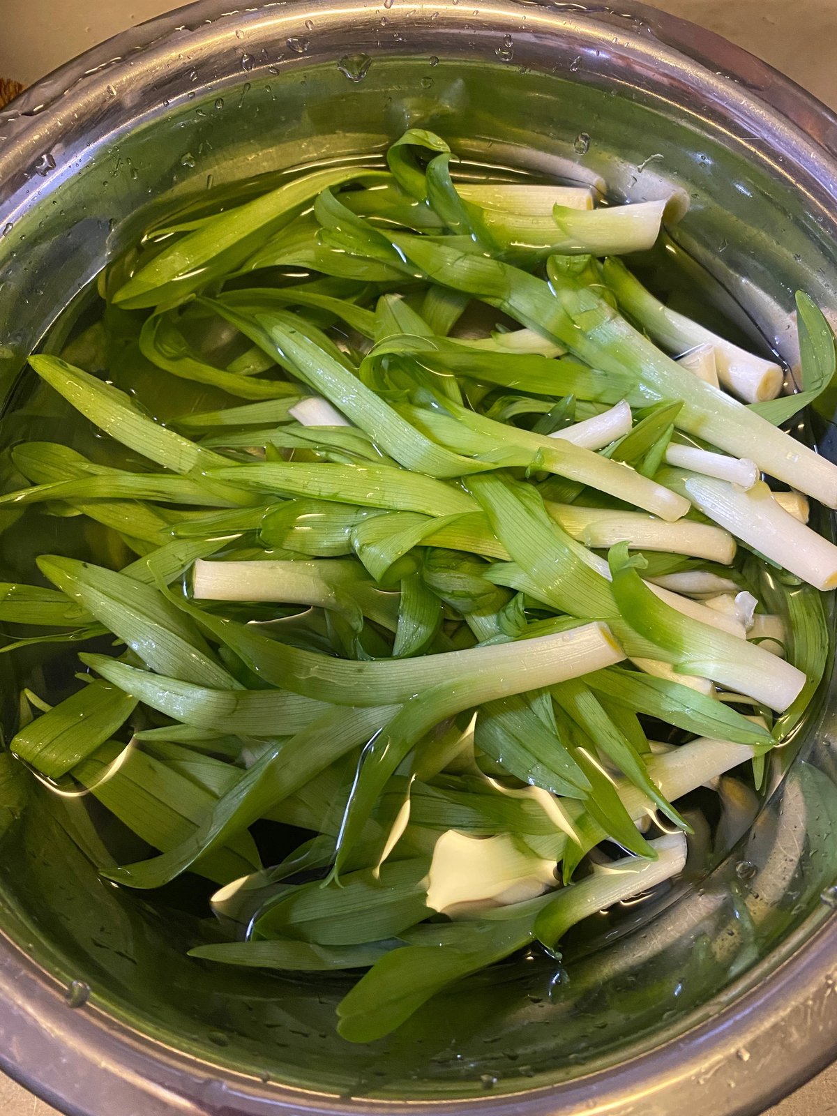 ヤブカンゾウのおいしい食べ方は？ノカンゾウとの見分け方も自然観察・昆虫BE-PAL キャンプ、アウトドア、自然派生活の情報源ビーパル