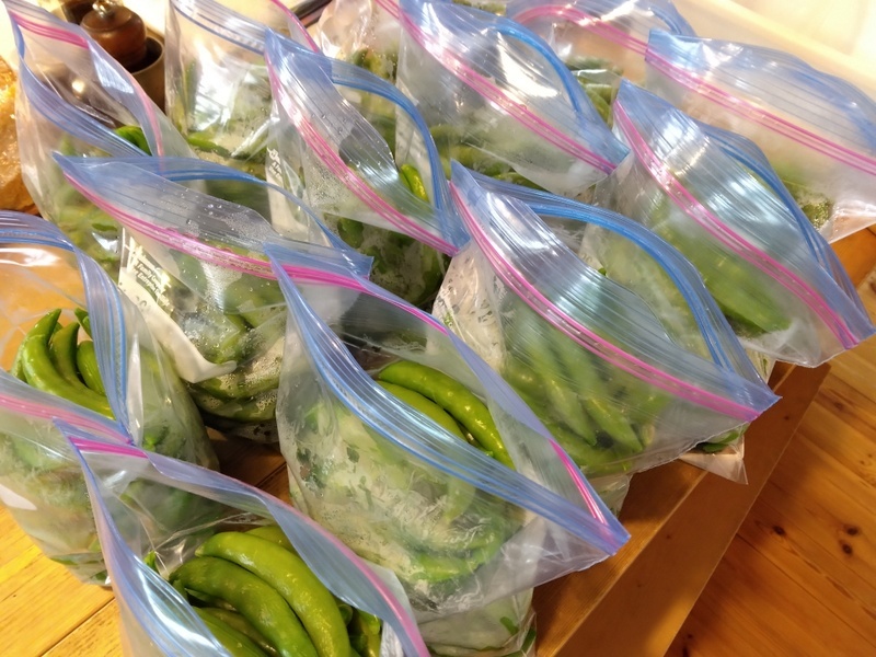 スナップエンドウの種まき 春蒔きのメリット・デメリット