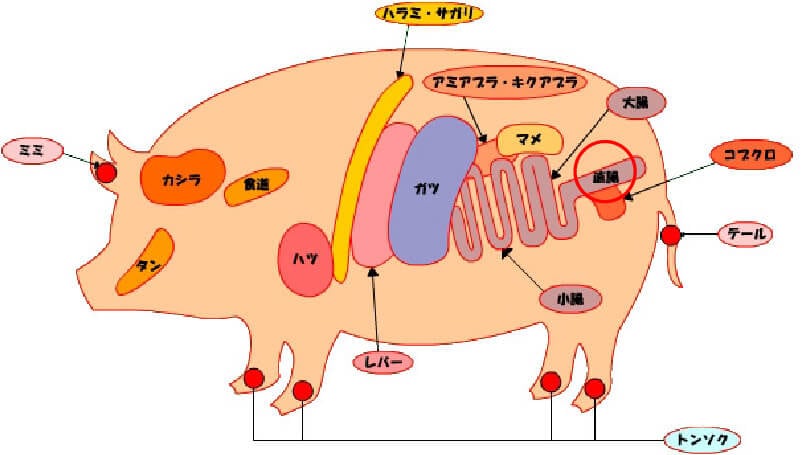 五反田でダイエット焼肉 太らない焼肉の食べ方と、痩せたい人が選ぶべき部位リスト -