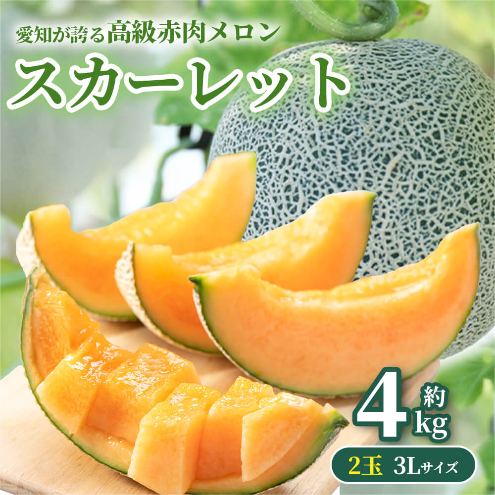 メロン 静岡産 温室マスクメロン 1.8kg 白級 ×2個 高級メロン アールスメロン 母の日 父の日 プレゼント フルーツ : 京の老舗の果物屋鳥羽伊三 - 通販 - Yahoo!ショッピング