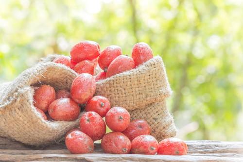 グミの実とは？ほぼ流通していない希少な果物の栄養や食べ方を紹介！食・料理オリーブオイルをひとまわし