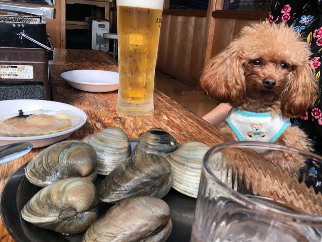 公式 九十九里の名物はまぐりを浜焼きで楽しむ浜茶屋 網元