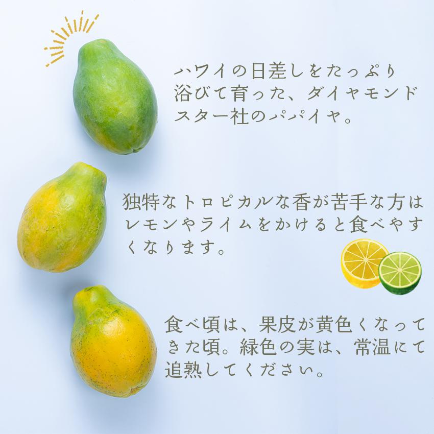 日本のTVで話題に！ハワイにあるトロピカルフルーツ満載の農園「フランキーズ・ナーセリー」の園内ツアーたびこふれ