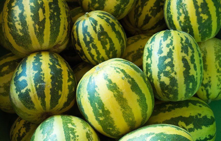 瓜 うり の種類一覧野菜や果物、作りたくなるレシピや食べ方LOVEGREEN ラブグリーン