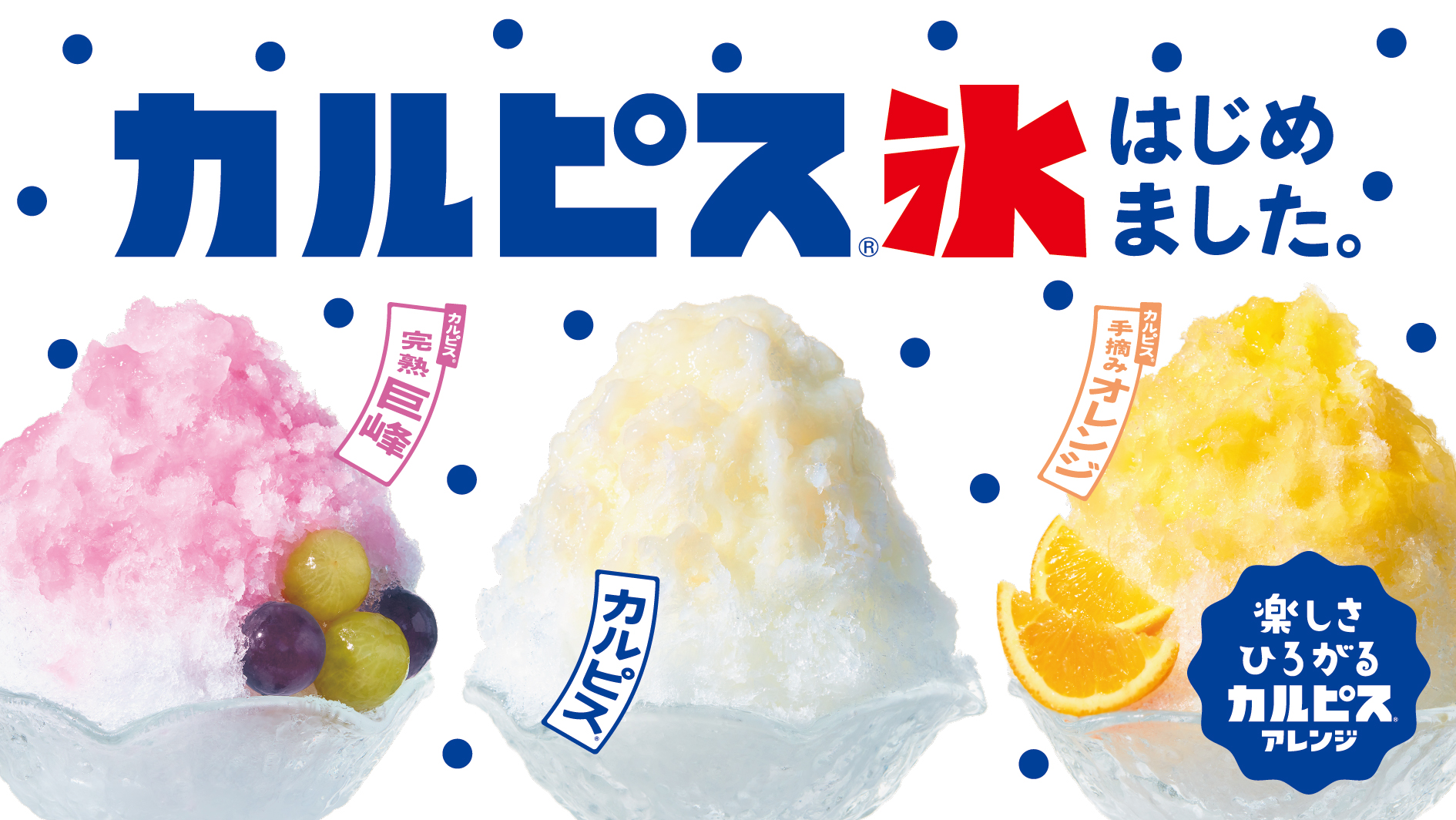 仕事 カルピス「かき氷」Portfolio of Ayaha Yaguchi