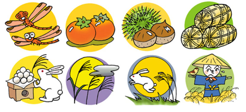 07-03-010季節のフルーツ詰合せ 9月分 約2.5kg