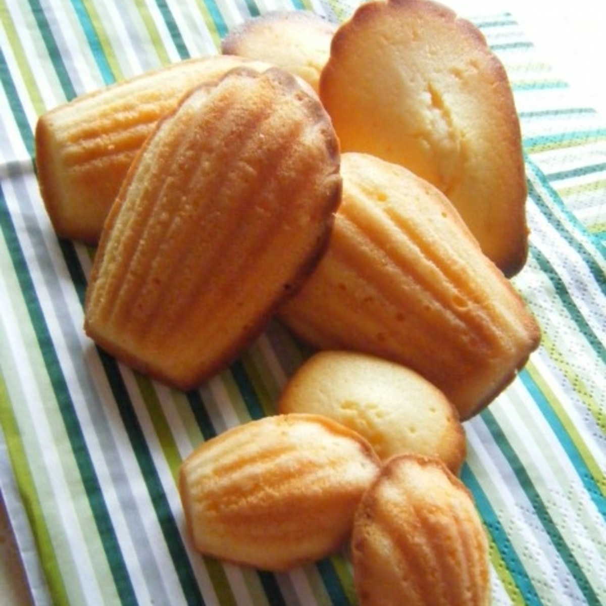 Amazon神田精養軒マドレーヌ8個入 2セット・合計16個あ洋菓子ギフト 通販