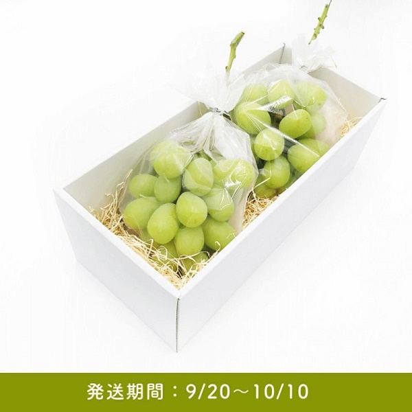 シャインマスカットの3つの保存方法まとめ長持ちさせるコツも紹介ふるなび公式ブログ ふるさと納税DISCOVERY