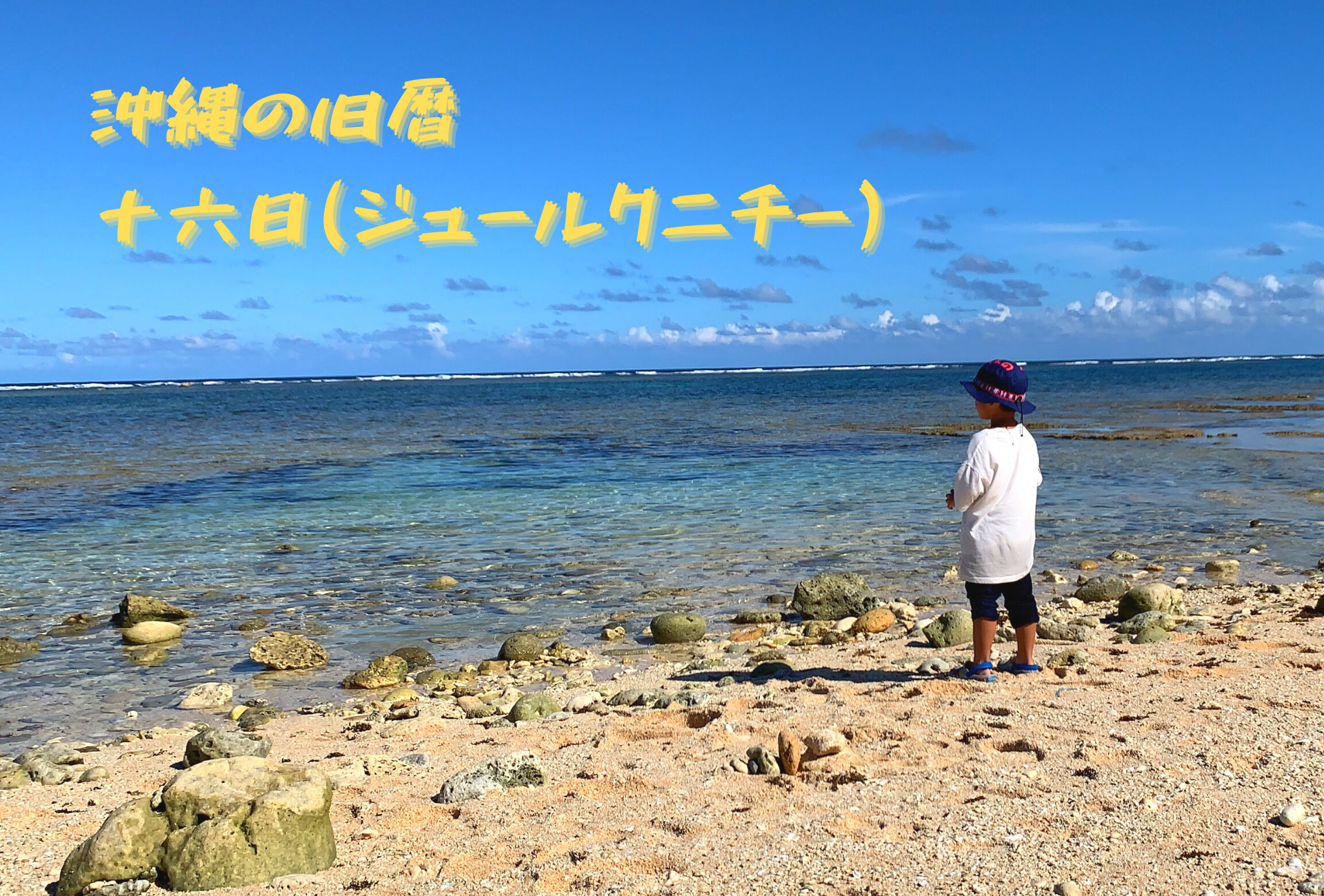 公式】闘牛 in Okinawa Blog