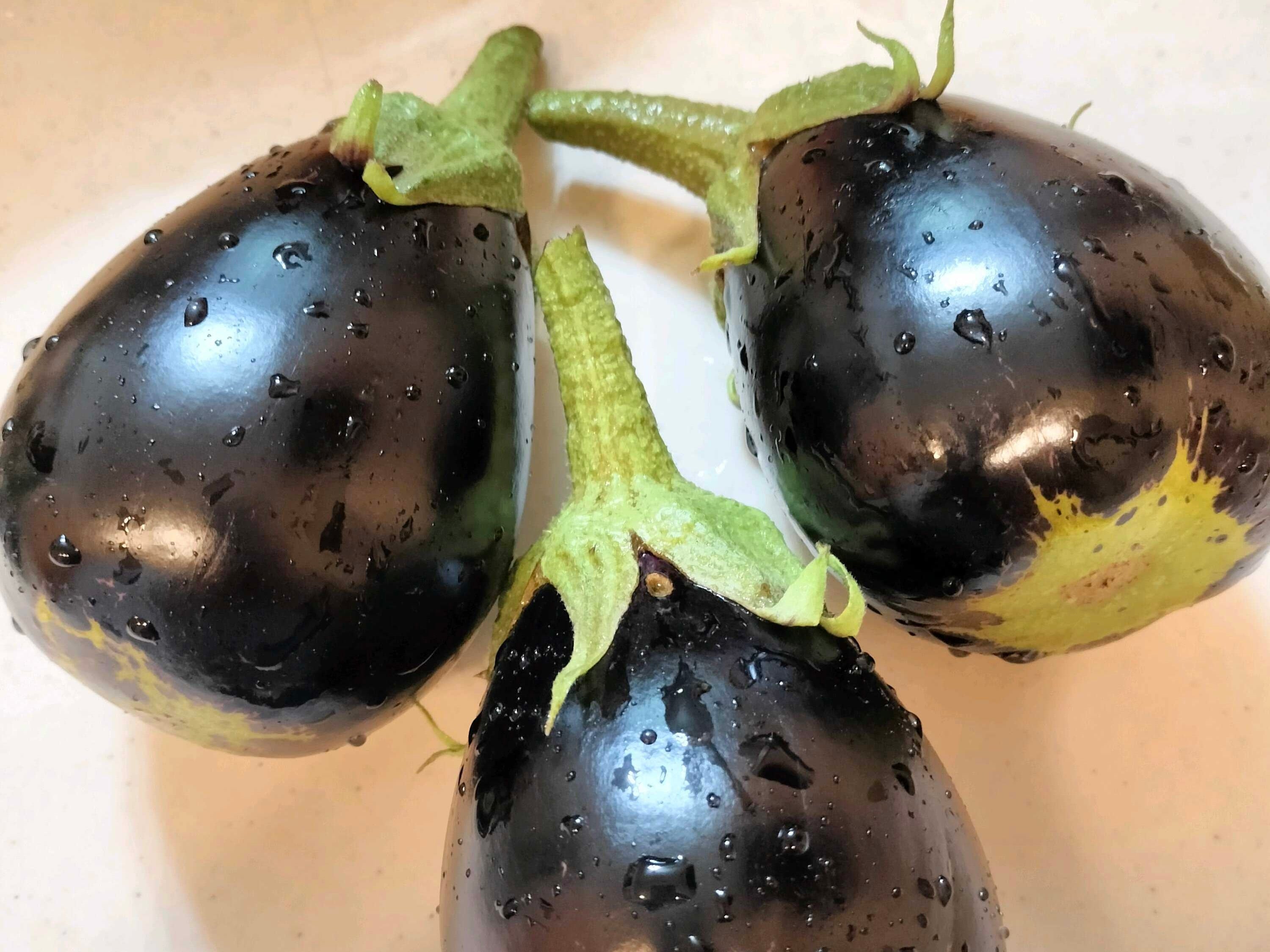 ナスの育て方を徹底解説