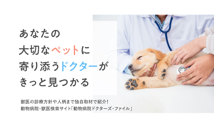 株式会社ひとみ動物病院】の採用サイト