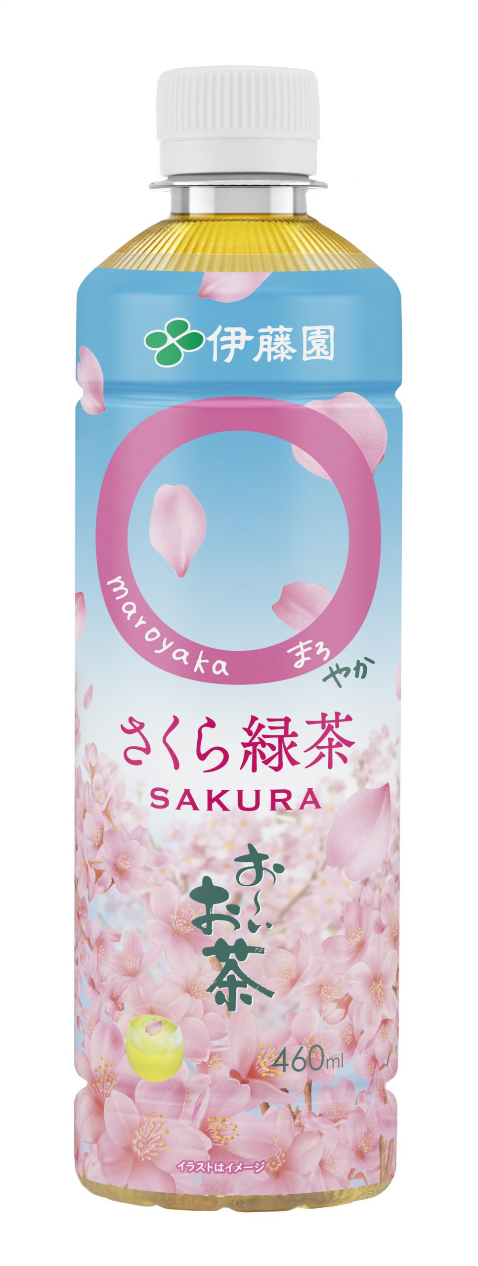 緑茶ティーバッグプチギフト 春限定 さくら煎茶 ティーバッグ缶入ギフト 日本茶・ハーブ緑茶・かわいい急須の専門店 CHA-ICHI WORKSちゃいちわーくす