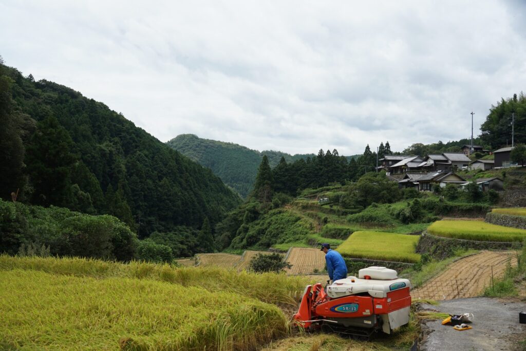 松本料理学院 創立50周年］琉球料理の継承に熱い思い｜食文化の継承と発展に貢献 沖縄タイムス賞受賞｜fun okinawa～ほーむぷらざ～