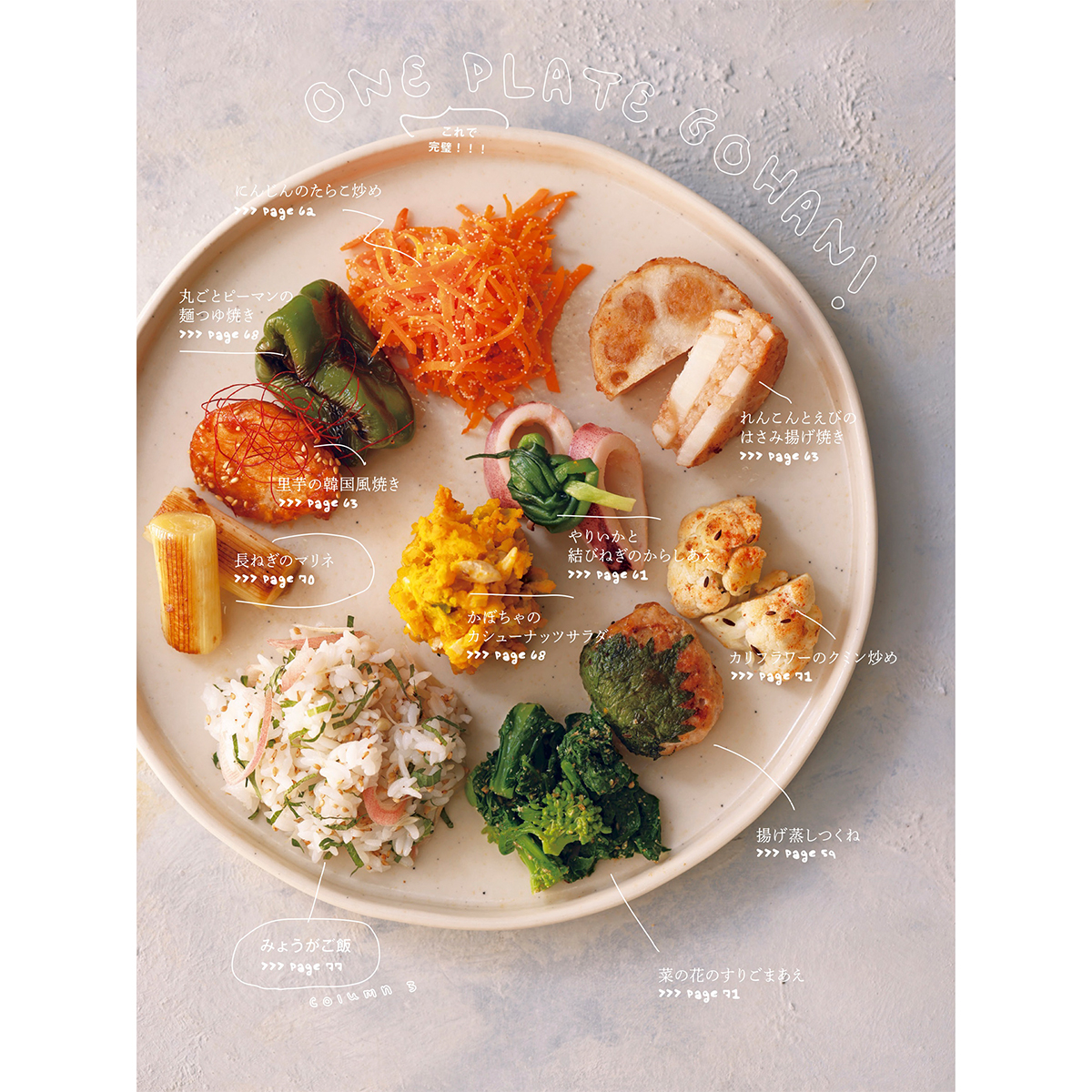 ワンプレートの和食のおかず盛り付け例。シャケ、卵焼き、ひじき、白和え。の写真素材85593388- PIXTA