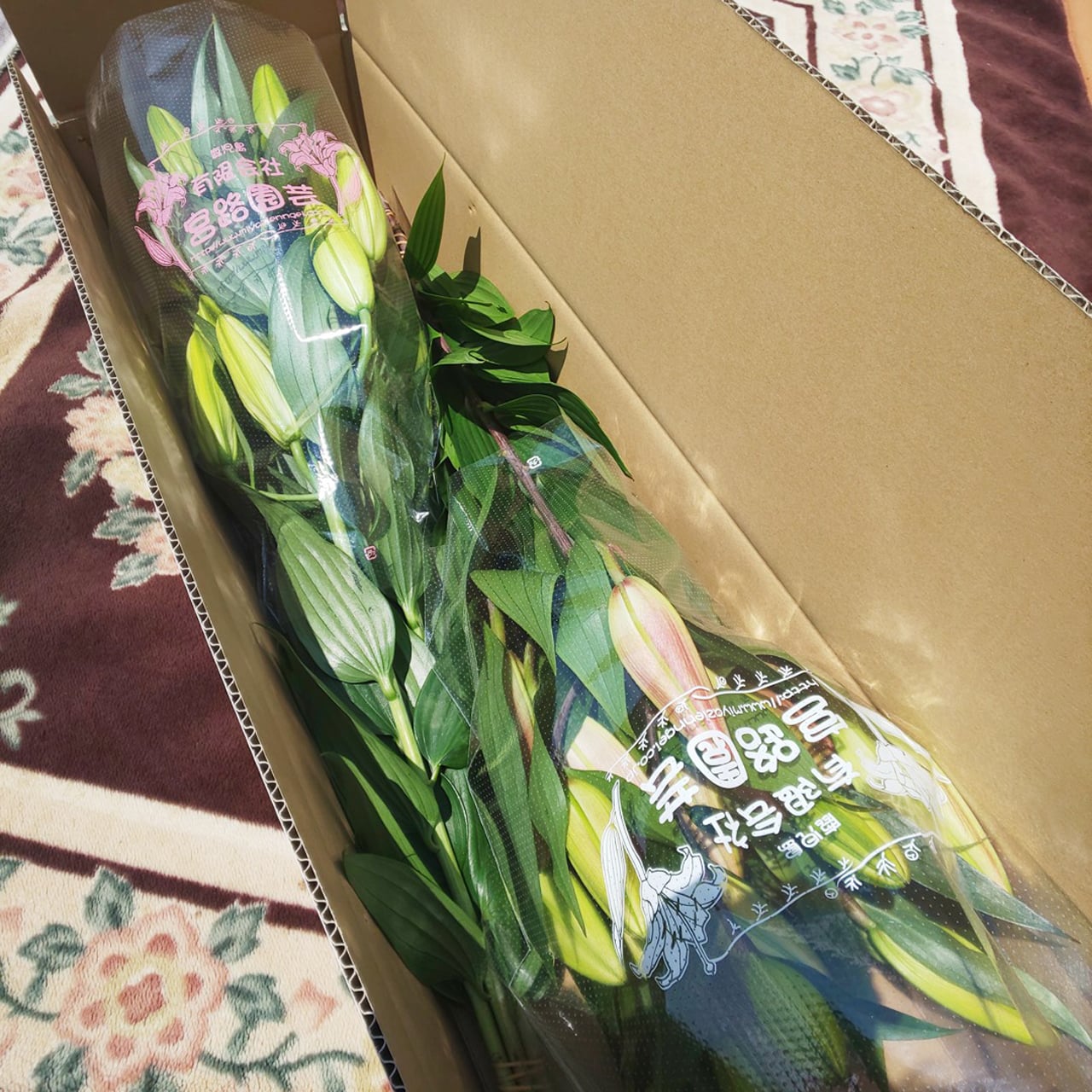 花農家直送！！クルクマ20本❀ガーベラ60本❀菊❀ 産地直送 ガーベラ