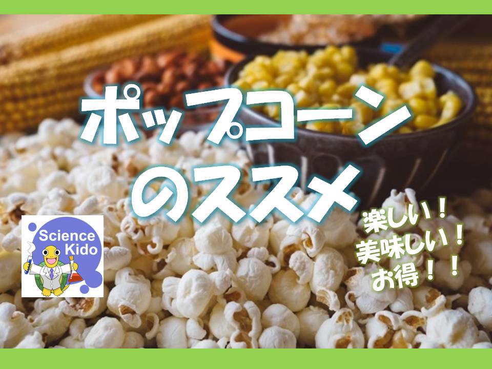 Amazon.co.jp: 長野県産カイコ入りポップコーン「飛んで火に炒る夏の虫」信濃毎日新聞社 : 食品・飲料・お酒