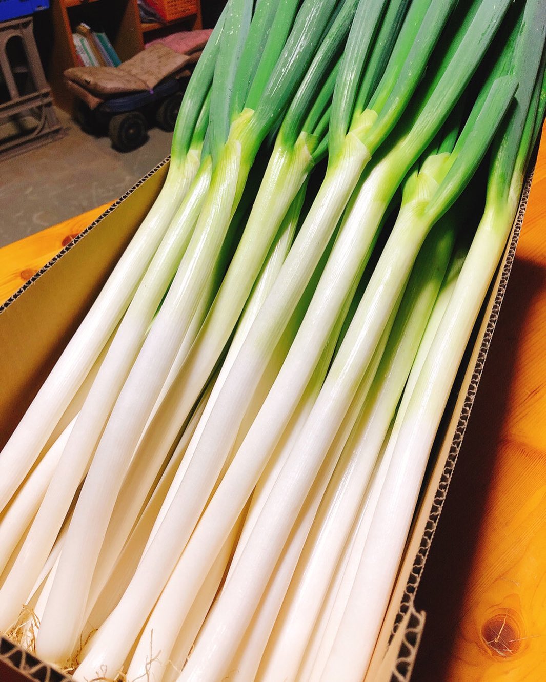 土付きネギの保存から洗い方まで！簡単すぎて子供でもできます！ - YouTube