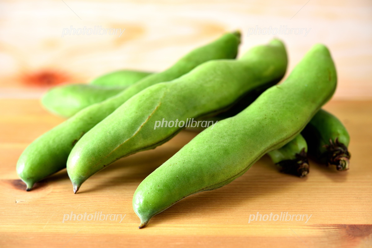 オリーブアイランド 香川県産そら豆醤油 単品 500ml 6本セット グルテンフリー 大豆・小麦不使用 アレルギー対応 高橋商店グルテンフリー, そら豆を使った調味料,香川県産そら豆醤油SHODOSHIMA FACTORY