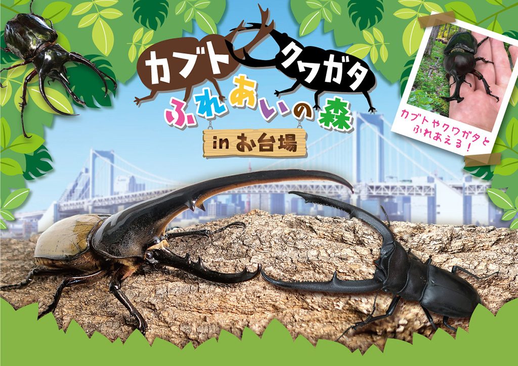 クワカブ生活 海外のクワガタに日本の苺 stag beetle