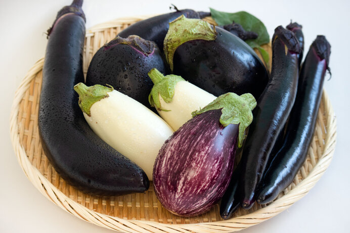 ナス なす 茄子