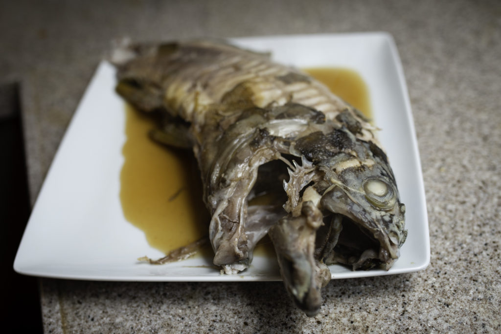 Gatto e Topo: ビンチョウのタルタル、黒ソイのサンセバスチャン風焼き魚、バスク風イワシのマリネ