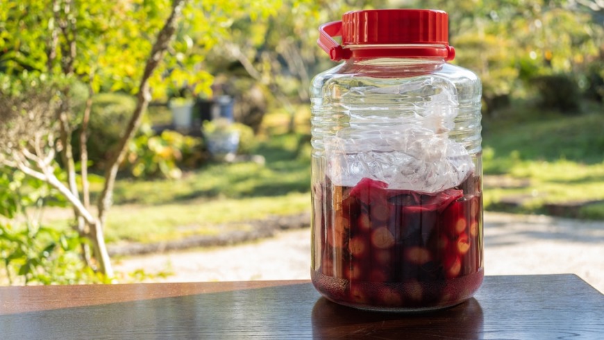 はちみつはカビが生える?見分け方や対処法をご紹介 - はちみつマイスター おしゅんのブログ