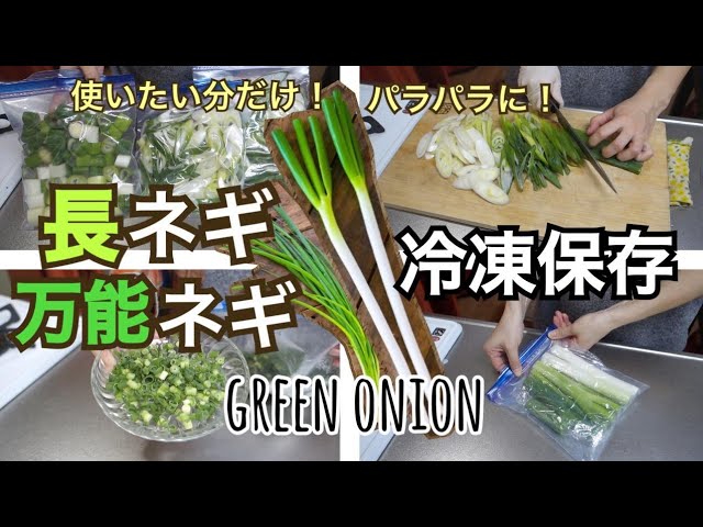 買ったネギを倍に増やそう! 再生野菜「ネギ」の育て方 キッチン菜園 2東京ガス ウチコト