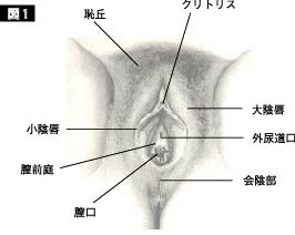 ラブコスメ公式 على X: 