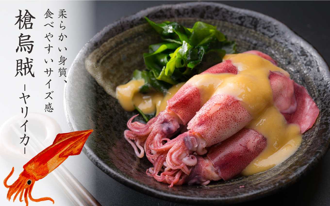 ヤリイカ ボイルの仕方TikTok