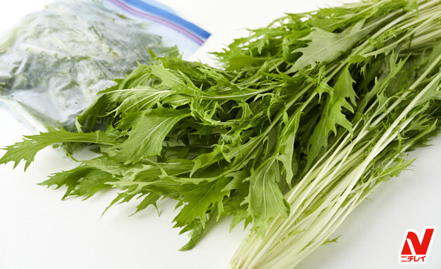 水菜を上手く冷凍する方法とは？ おいしく保存するコツをご紹介