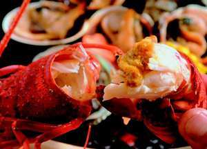 与助丸 天然 活伊勢海老1kg 約100g前後ｘ7～10南房総いいもの市場