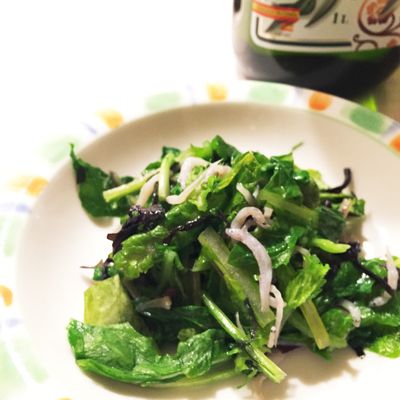 赤サラダからし菜 カラシナ小袋 10ml- トキタオンラインショップ