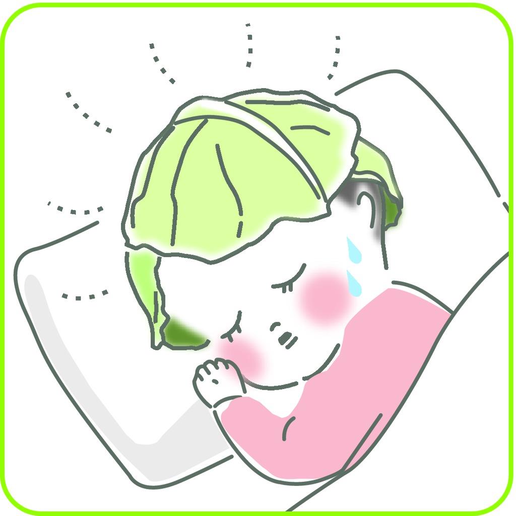 キャベツの葉で熱冷まし 問われる民間療法の科学的根拠 1 3ページ- 産経ニュース