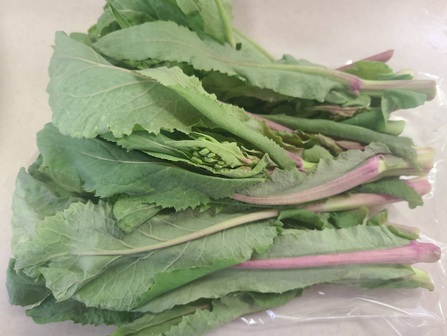 菜花の食べ比べ食オタ食の資格者のためのコミュニティ