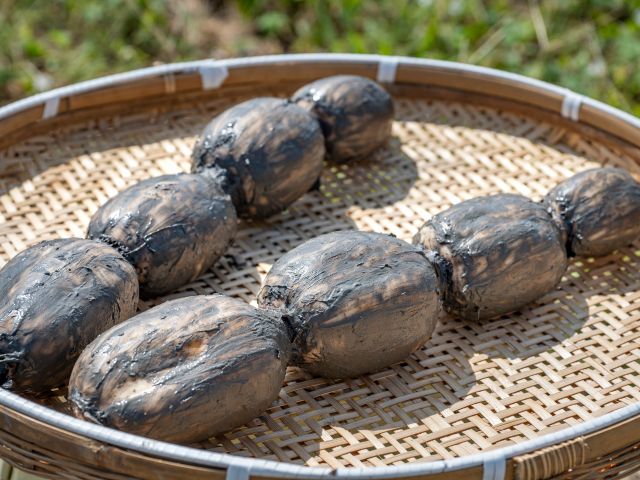 れんこんの保存方法を紹介します✨ 今回は土付きバージョン！ 岩国では田んぼの水を抜いて手掘りで収穫するので、土付きの状態が一般的です👏弊社でも年末にかけて贈与品としてご注文いただくことが多い土付きの節付きれんこん。 立派だけど、すぐには使えないな〜🤔 っ