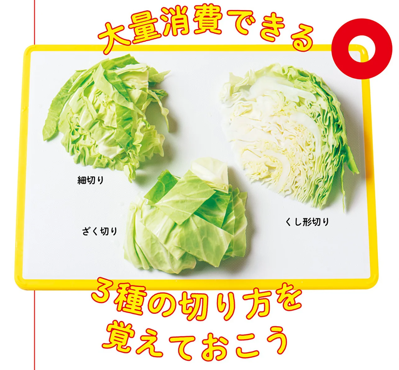 レタスの切り方 - 野菜の切り方 料理の基礎レシピサイトNadia