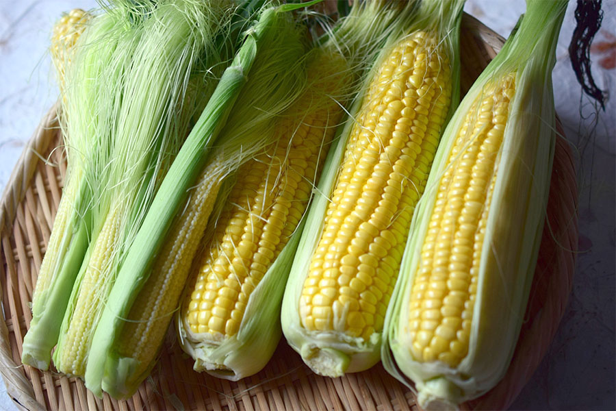 とうもろこしの写真素材写真素材なら「写真AC」無料 フリー ダウンロードOK