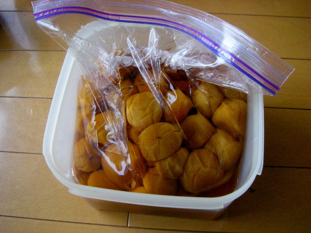 初心者必見 干さない、シソ不要！ 昔ながらの塩漬け梅干しの簡単な作り方三越伊勢丹の食メディアFOODIE フーディー