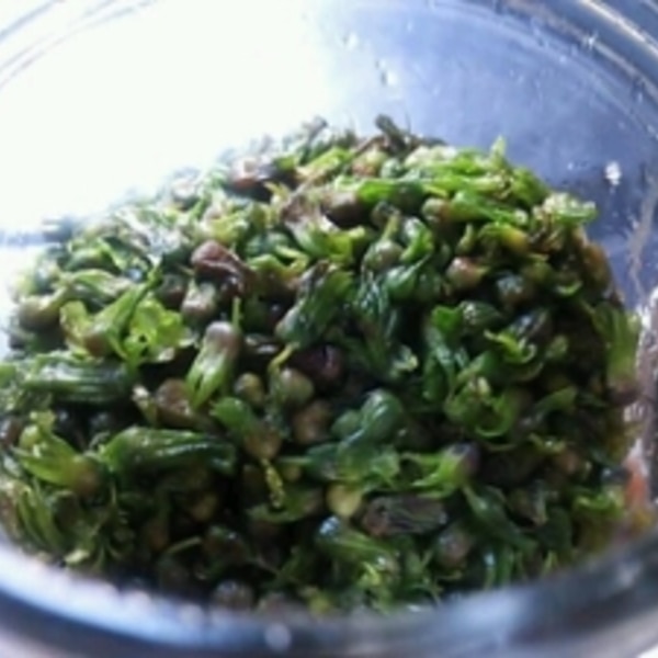 京都伝承の味 青しその実 100g 国産原料使用