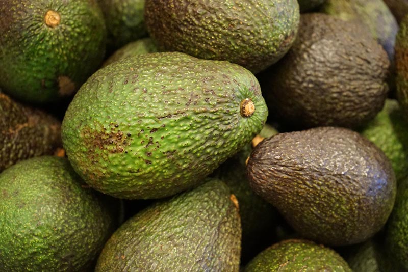 アボカドの選び方は“ヘタ”がカギ！失敗しない見分け方と保存のコツかていプラス